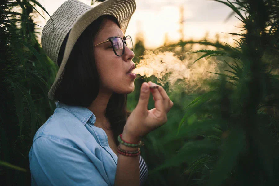 What are medicinal herbs?